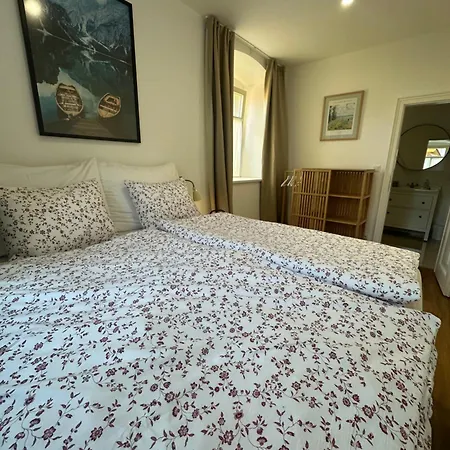 Apartmany Tachov Daire