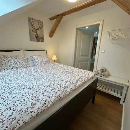 Apartmany Tachov Daire *