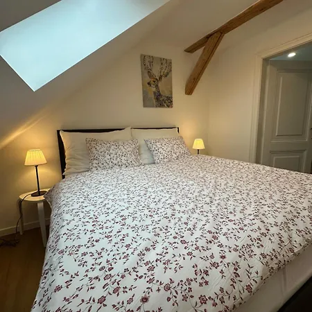 Apartmány Tachov *