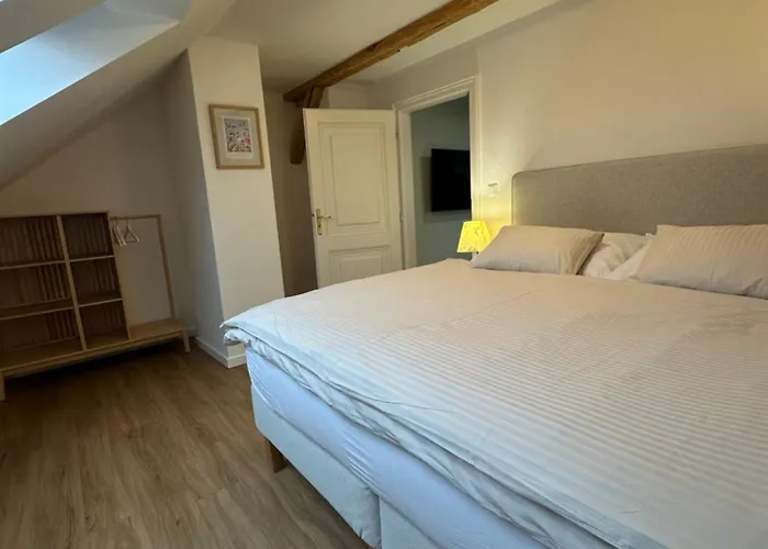 Apartmany Tachov טאחוב