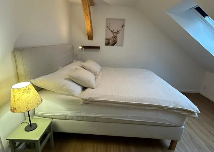 Apartmany Tachov טאחוב