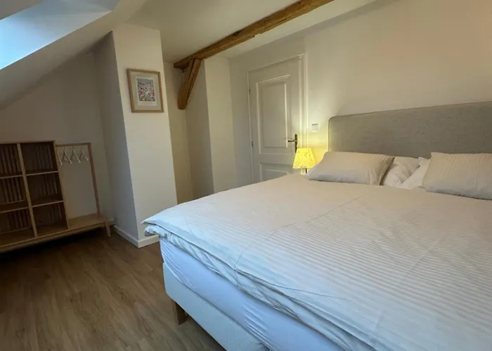 Apartmany Tachov * טאחוב