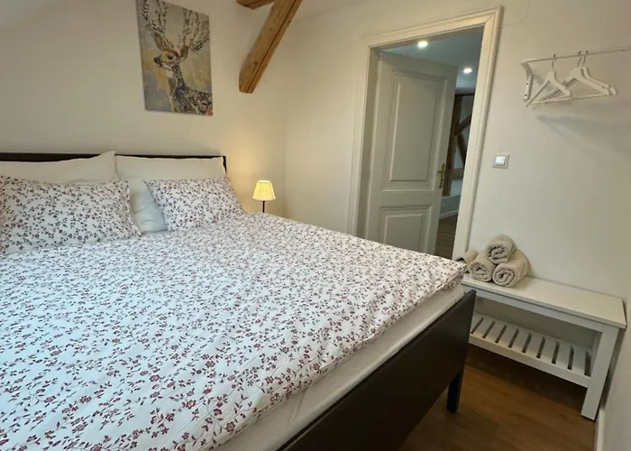 Apartmany Tachov דירה *