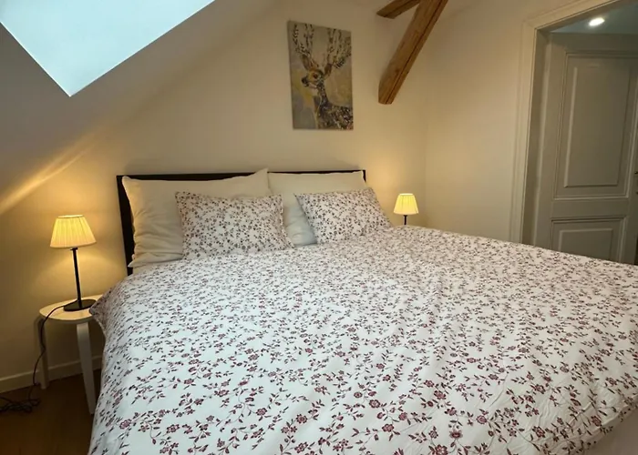Apartmany Tachov *